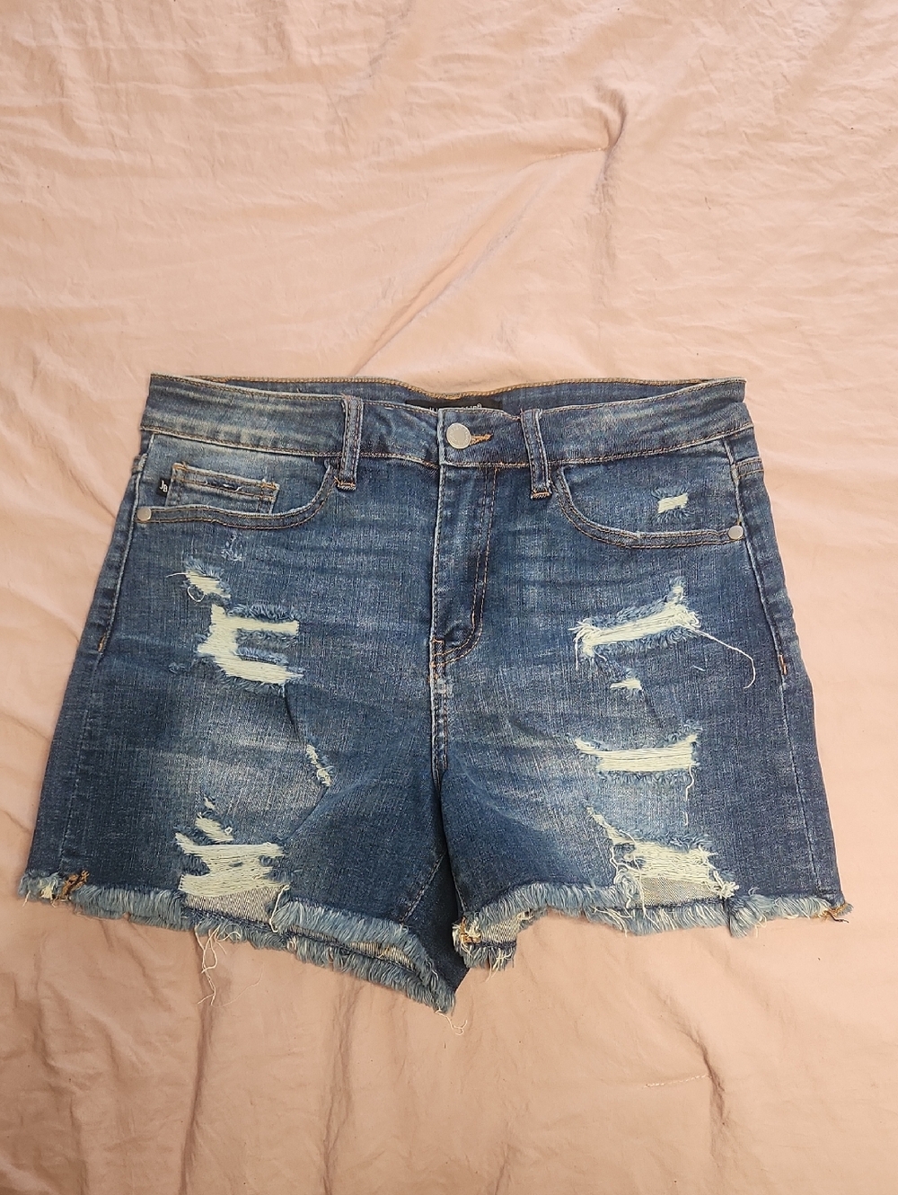 Judy Blue Distressed Jean Shorts